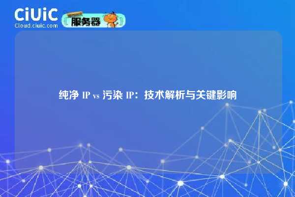 纯净 IP vs 污染 IP：技术解析与关键影响