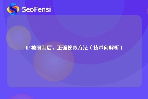 IP 被限制后，正确挽救方法（技术向解析）