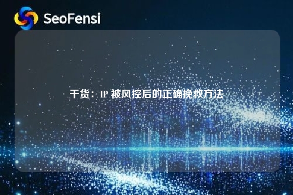 干货：IP 被风控后的正确挽救方法
