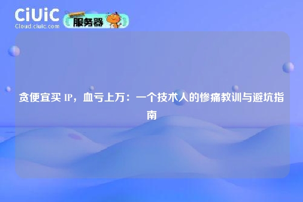 贪便宜买 IP，血亏上万：一个技术人的惨痛教训与避坑指南