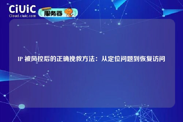 IP 被风控后的正确挽救方法：从定位问题到恢复访问