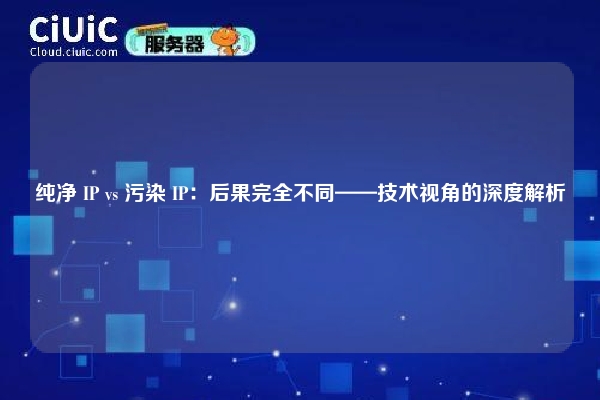 纯净 IP vs 污染 IP：后果完全不同——技术视角的深度解析