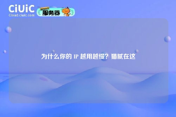 为什么你的 IP 越用越慢？猫腻在这