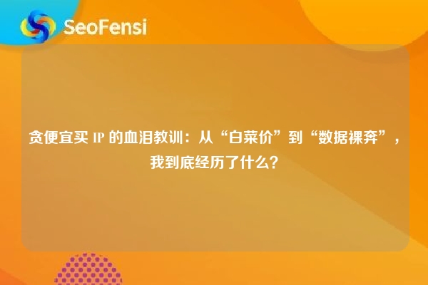 贪便宜买 IP 的血泪教训：从“白菜价”到“数据裸奔”，我到底经历了什么？