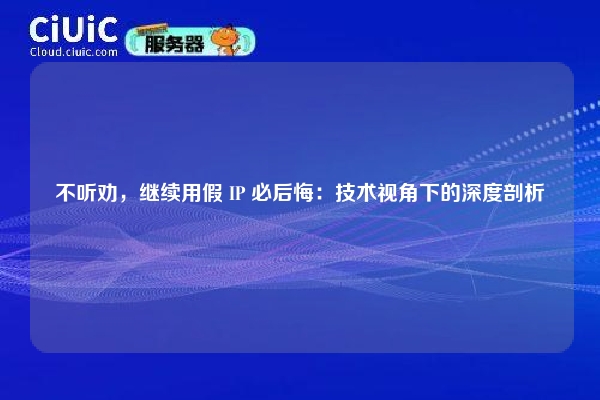 不听劝，继续用假 IP 必后悔：技术视角下的深度剖析