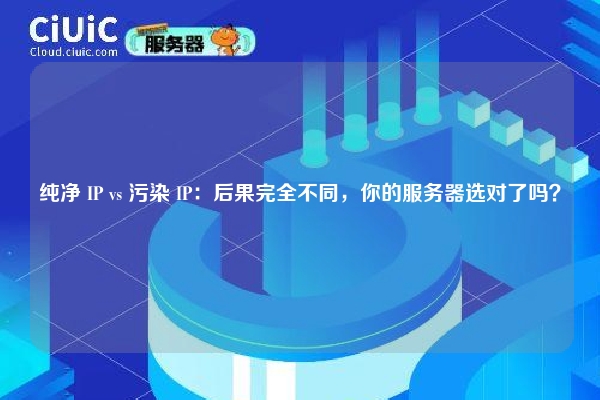 纯净 IP vs 污染 IP：后果完全不同，你的服务器选对了吗？