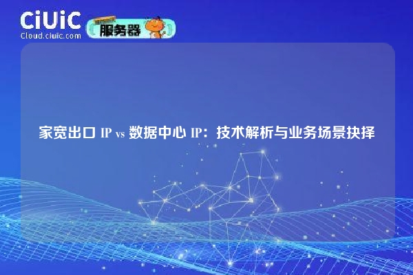 家宽出口 IP vs 数据中心 IP：技术解析与业务场景抉择