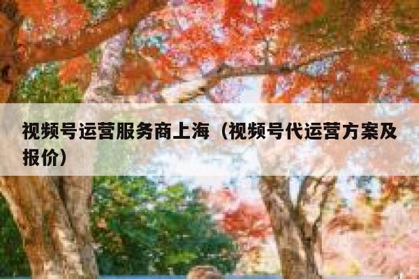 视频号运营服务商上海（视频号代运营方案及报价）