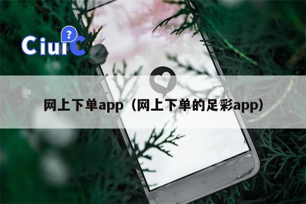 网上下单app（网上下单的足彩app）