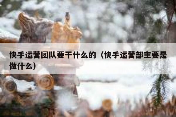 快手运营团队要干什么的（快手运营部主要是做什么）