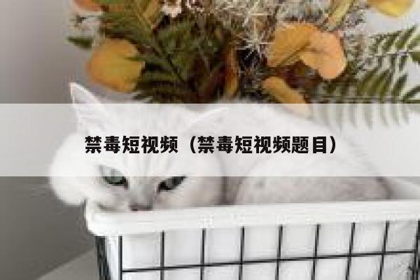 禁毒短视频（禁毒短视频题目）