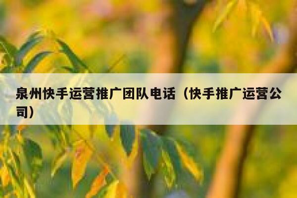 泉州快手运营推广团队电话（快手推广运营公司）