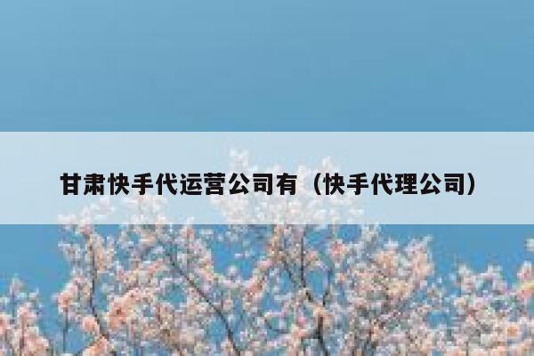 甘肃快手代运营公司有（快手代理公司）