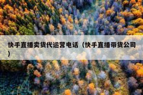 快手直播卖货代运营电话（快手直播带货公司）