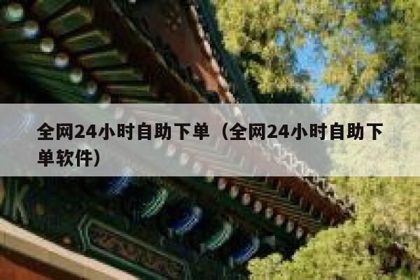 全网24小时自助下单（全网24小时自助下单软件）