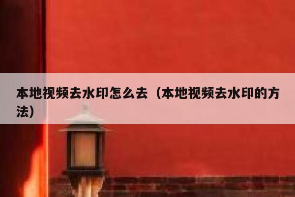 本地视频去水印怎么去（本地视频去水印的方法）