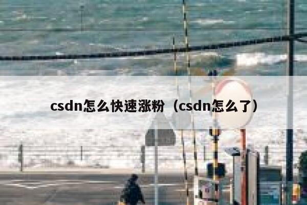 csdn怎么快速涨粉（csdn怎么了）