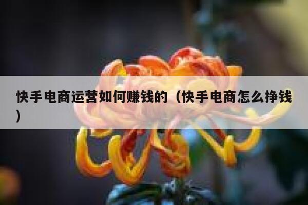 快手电商运营如何赚钱的（快手电商怎么挣钱）