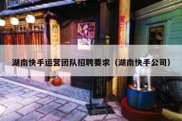 湖南快手运营团队招聘要求（湖南快手公司）