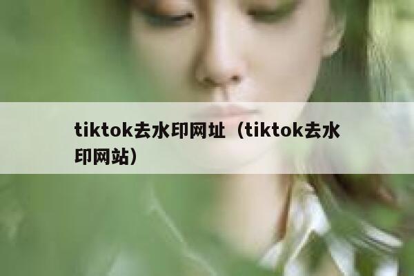 tiktok去水印网址（tiktok去水印网站）