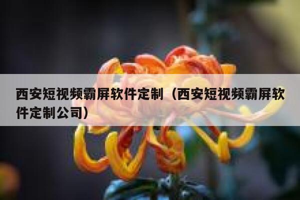 西安短视频霸屏软件定制（西安短视频霸屏软件定制公司）