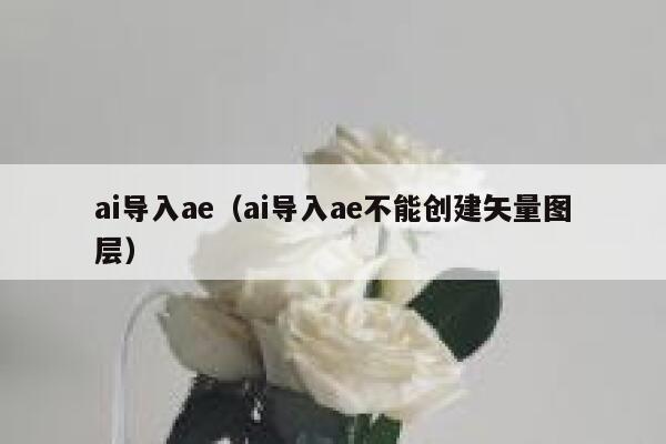 ai导入ae（ai导入ae不能创建矢量图层）