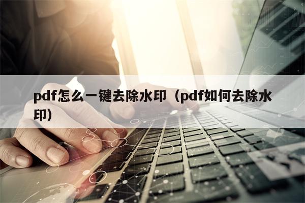 pdf怎么一键去除水印（pdf如何去除水印）