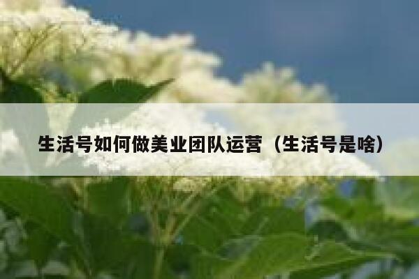 生活号如何做美业团队运营（生活号是啥）