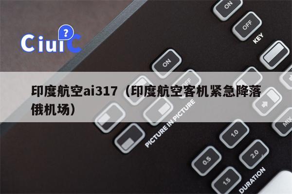 印度航空ai317（印度航空客机紧急降落俄机场）