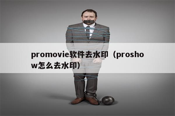 promovie软件去水印（proshow怎么去水印）