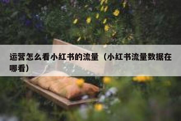 运营怎么看小红书的流量（小红书流量数据在哪看）