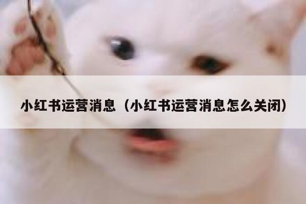 小红书运营消息（小红书运营消息怎么关闭）