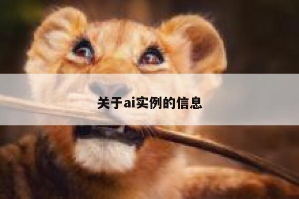 关于ai实例的信息