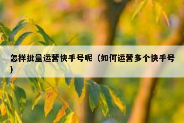 怎样批量运营快手号呢（如何运营多个快手号）