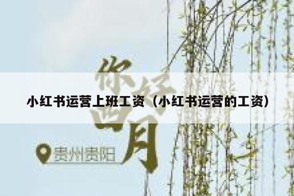 小红书运营上班工资（小红书运营的工资）