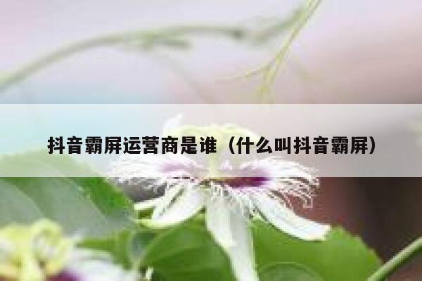 抖音霸屏运营商是谁（什么叫抖音霸屏）