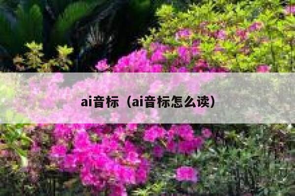 ai音标（ai音标怎么读）