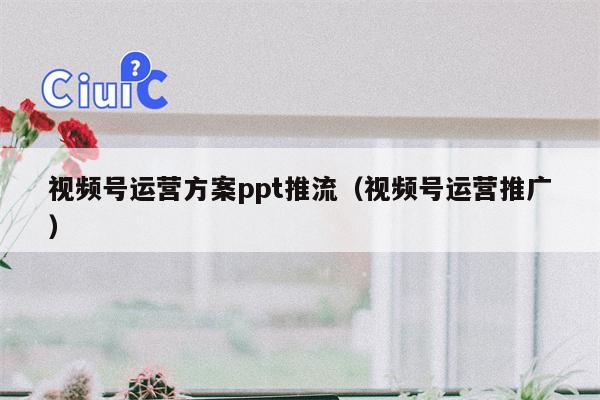 视频号运营方案ppt推流（视频号运营推广）