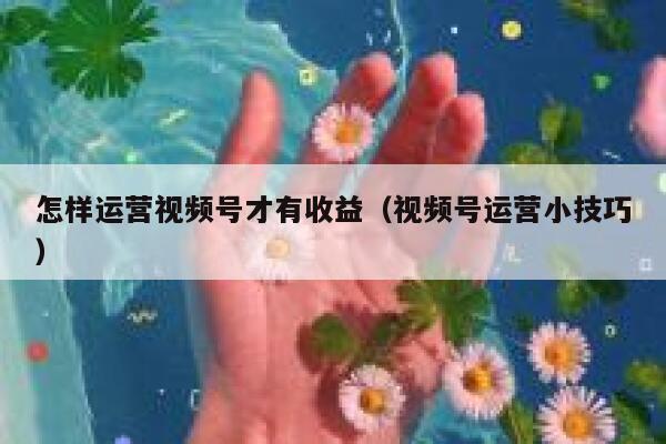 怎样运营视频号才有收益（视频号运营小技巧）