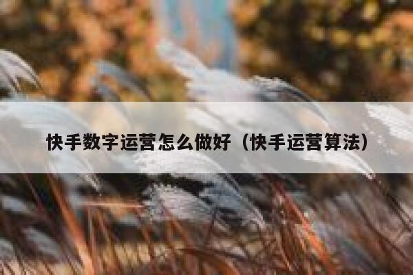 快手数字运营怎么做好（快手运营算法）