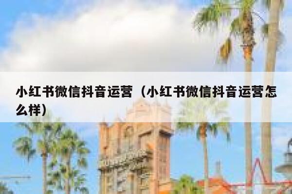 小红书微信抖音运营（小红书微信抖音运营怎么样）