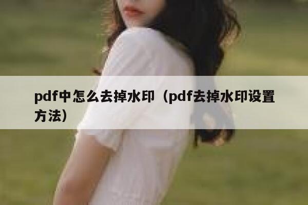 pdf中怎么去掉水印（pdf去掉水印设置方法）