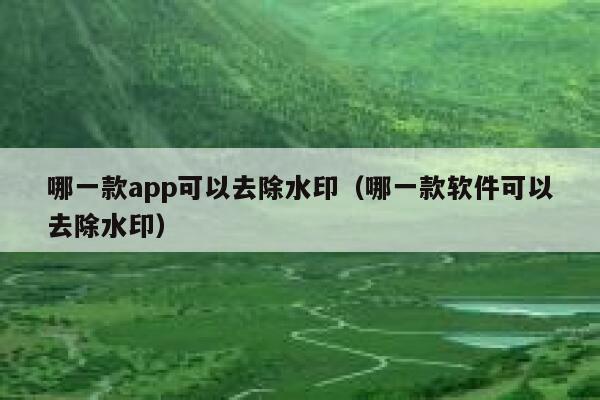 哪一款app可以去除水印（哪一款软件可以去除水印）