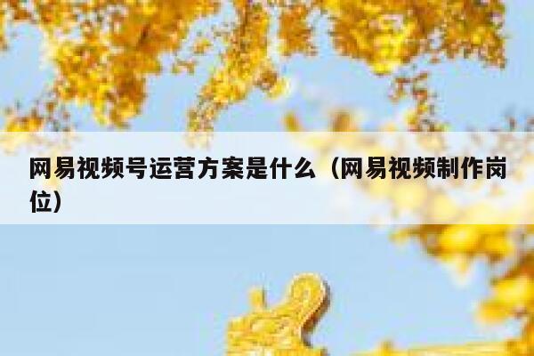 网易视频号运营方案是什么（网易视频制作岗位）