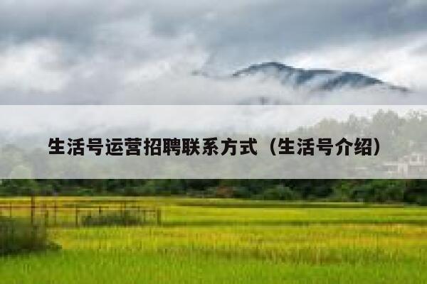 生活号运营招聘联系方式（生活号介绍）