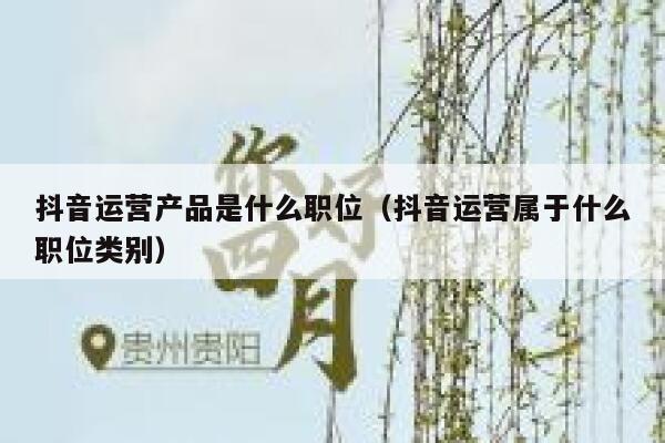 抖音运营产品是什么职位（抖音运营属于什么职位类别）