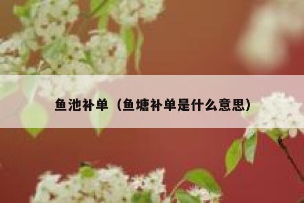 鱼池补单（鱼塘补单是什么意思）