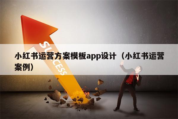 小红书运营方案模板app设计（小红书运营案例）