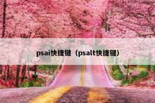 psai快捷键（psalt快捷键）