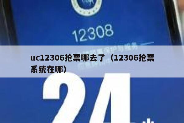 uc12306抢票哪去了（12306抢票系统在哪）